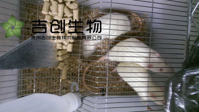 動物飼養